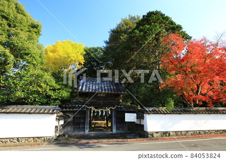 秋葉、銀杏和白牆 84053824