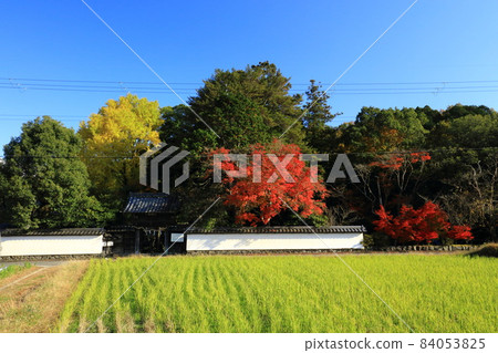 秋天的矢田天滿宮 秋天的矢田天滿宮 84053825