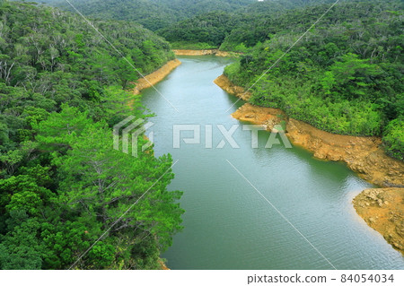 山原國立公園富士河和板井森林 84054034