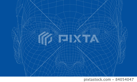 Wireframe portrait of a young beautiful girl Wireframe portrait of a young beautiful girl 84054047