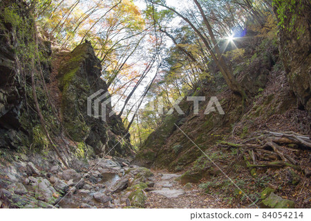 Mountain trail of Mt. Mitake [Ome City, Tokyo] 84054214