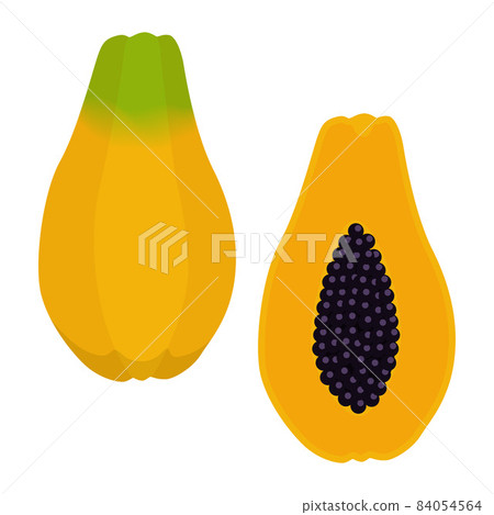 木瓜的插圖 木瓜的插圖 84054564