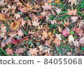 Autumn leaves fallen leaves 84055068
