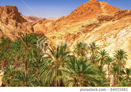 View of the mountain oasis of Shebika, in the middle of the Sahara Desert, Tunisia View of the mountain oasis of Shebika, in the middle of the Sahara Desert, Tunisia 84055981