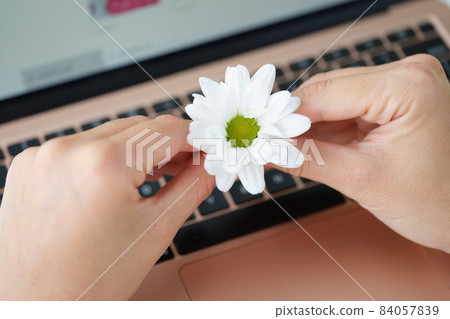 Female hold blooming daisy flower over open laptop 84057839
