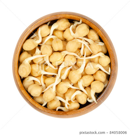 Fresh chickpea sprouts, in a wooden bowl. Ready to eat, sprouted chickpeas, seeds of Cicer arietinum, a legume, also known as chick peas, garbanzo beans or gram, and high in protein. Macro food photo. 84058006