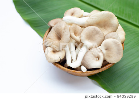 Fresh oyster mushroom in wooden bowl on banana leaf 84059289