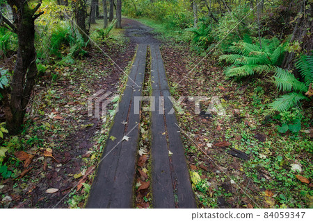 Beautiful scenery around Fukushima, Urabandai, and Goshikinuma in autumn with a wonderful refreshing atmosphere 84059347
