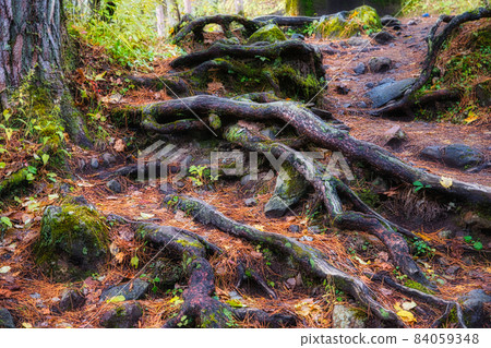 Beautiful scenery around Fukushima, Urabandai, and Goshikinuma in autumn with a wonderful refreshing atmosphere 84059348