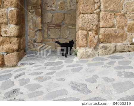 Italy Civita di Bagnoregio's black cat 84060219