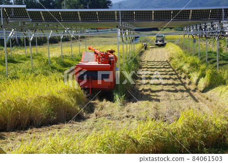 稻田太陽能發電與收割水稻收割與太陽能發電 84061503