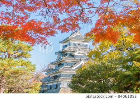 Autumn national treasure, Matsumoto Castle [Great castle tower] 84061852