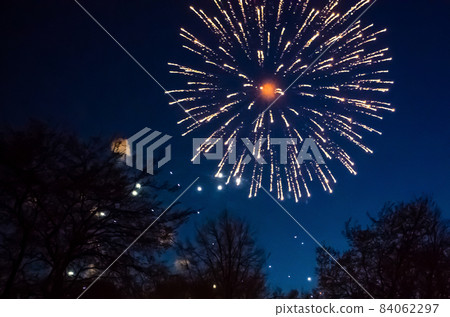 Beautiful multi-colored festive fireworks in the night sky 84062297