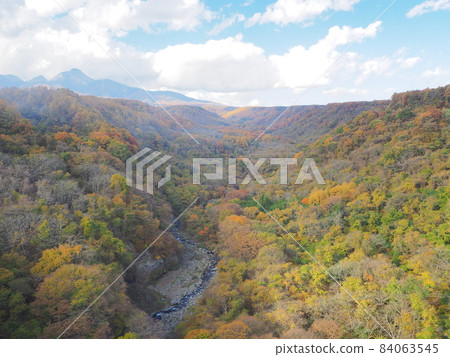 11 月,山梨縣川俁河谷的秋葉和八岳 11 月,山梨縣川俁河谷的秋葉和八岳 84063545