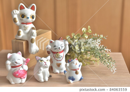 一隻誘人的貓的裝飾品 84063559