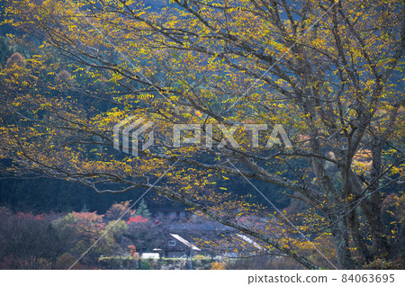 彩色黃色《堂村》 彩色黃色《堂村》 84063695