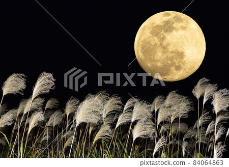 [秋季圖片]中秋節和鈴木 84064863