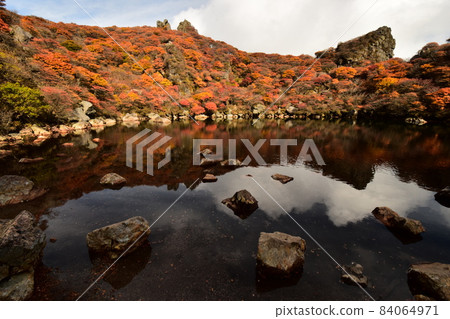 九州大分縣九重山脈秋天的大船山 84064971