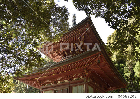 Shogoji寺 84065205