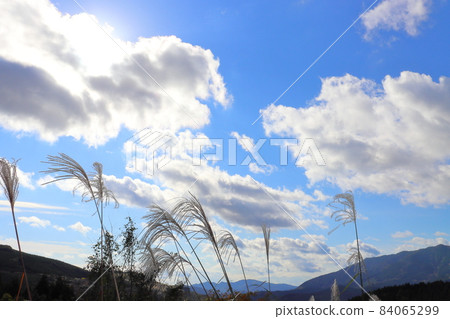 日本蒲葦,藍天,雲,陽光,山 日本蒲葦,藍天,雲,陽光,山 84065299