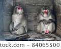 Two monkeys sitting in a cave. 84065500
