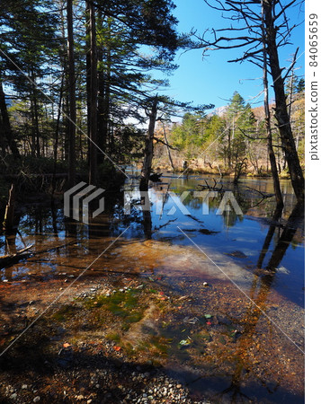 Kamikochi in late autumn, Dakesawa Marsh 84065659