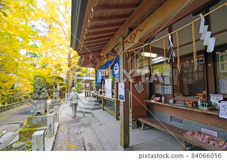 Takasumi Shrine, a famous spot for autumn leaves on the hillside of Hikosan in Soeda Town, Fukuoka Prefecture 84066056