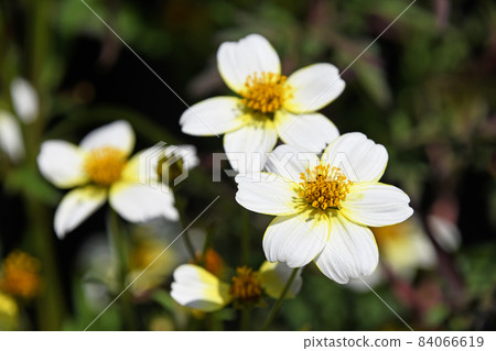 冬季宇宙 冬季宇宙 84066619