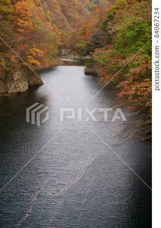 Minakami / Fujiwara Dam Autumn Leaves Minakami / Fujiwara Dam Autumn Leaves 84067234