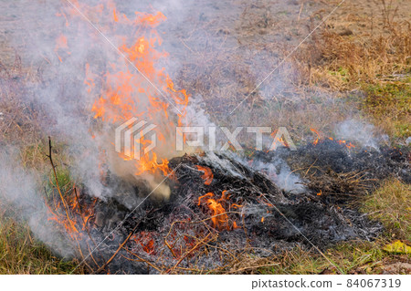 Wildfire on field after harvesting burning dry grass meadow due arid climate change hot weather and environmental pollution 84067319