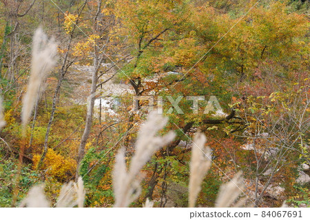 Minakami / Fujiwara Dam Autumn Leaves Minakami / Fujiwara Dam Autumn Leaves 84067691