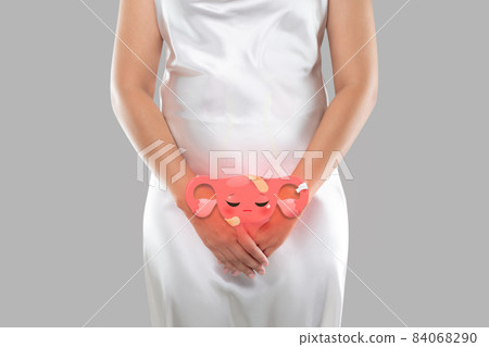 Illustration of the uterus is on the woman's body 84068290