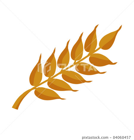 Ear of wheat. Golden stem of plant. Harvest. Seeding and yield. Ear of wheat. Golden stem of plant. Harvest. Seeding and yield. 84068457