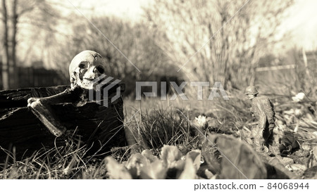 A soldier in war always walks with, together and towards death 84068944