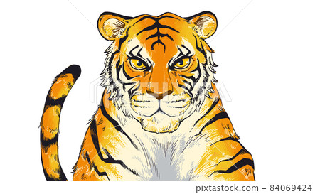 Tiger hand drawn illustration material Tiger hand drawn illustration material 84069424