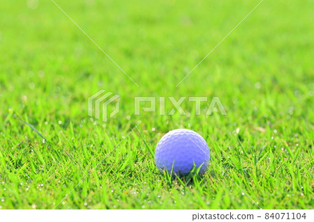 高爾夫球、球、草、果嶺、擊球、推桿、開球、oplots、紋理 84071104