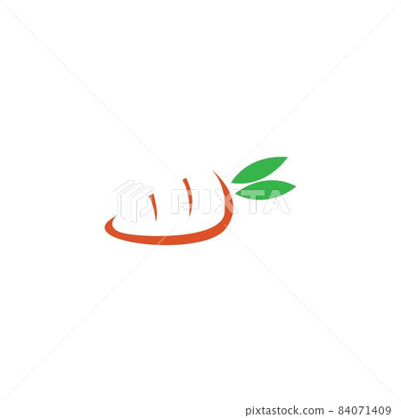 Carrot icon logo flat design template 84071409