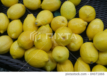 柚子售樓處 84071866