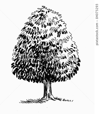 Big tree. Ink black and white drawing 84073293