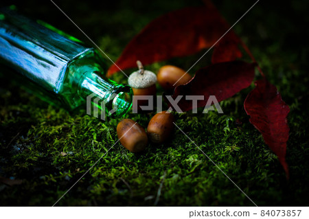 Green bottle on moss Red fallen leaves and acorns Green bottle on moss Red fallen leaves and acorns 84073857