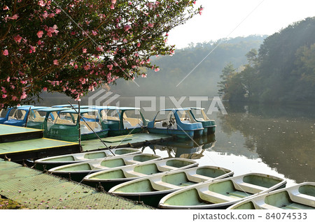 Takara-gaike Park Autumn Scenery Kyoto City Takara-gaike Park Autumn Scenery Kyoto City 84074533