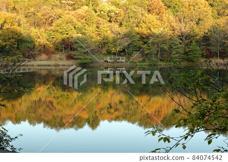 黃昏時安靜的公園景觀 84074542