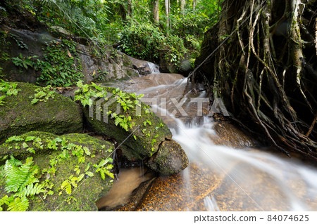 Beautiful small Waterfall in rainforest Abundant trees Long exposure speed motion blur water Beautiful small Waterfall in rainforest Abundant trees Long exposure speed motion blur water 84074625