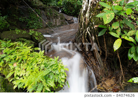 Beautiful small Waterfall in rainforest Abundant trees Long exposure speed motion blur water 84074626