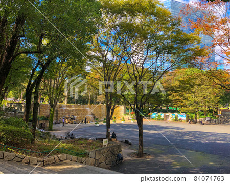 東京市中心初秋的新宿中央公園 84074763