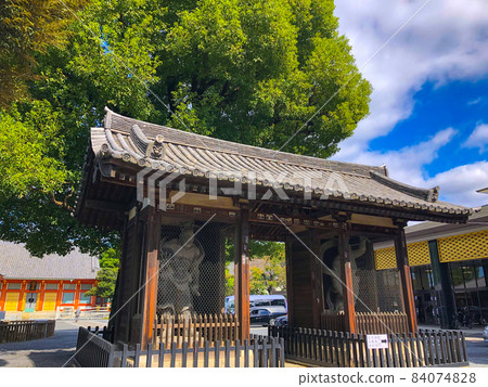 東京中野法善寺 84074828