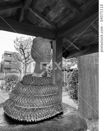 Tokyo Nakano / Fukujuin Snake Benzaiten Tokyo Nakano / Fukujuin Snake Benzaiten 84075118