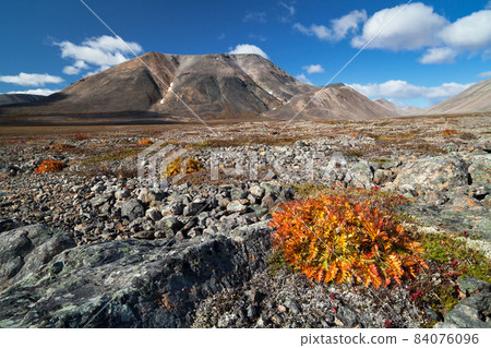 Autumn view of the valley and mountains. Arctic desert. Autumn view of the valley and mountains. Arctic desert. 84076096