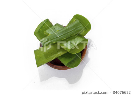 Fresh aloe vera leaf Fresh aloe vera leaf 84076652