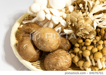 A lot of mushroom sets A lot of mushroom sets 84076781
